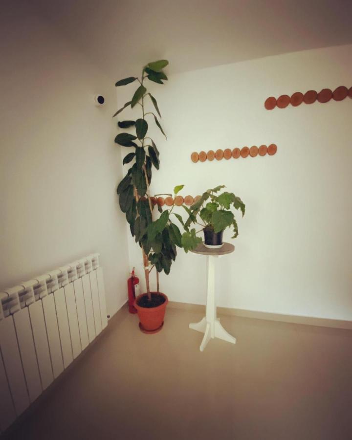 Maison Platanus Войняса Экстерьер фото